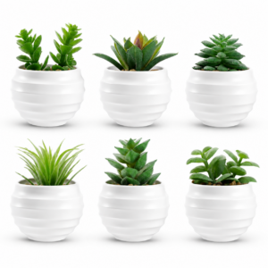 6 Pack Fake Succulents Artificial Succulents in Pots, Mini Fake Plants for Shelf Decor, Small Artificial Plants Indoor with White Pots